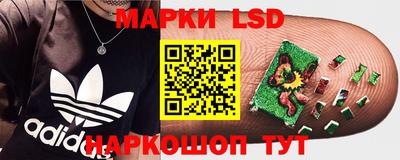 индика Гусь-Хрустальный