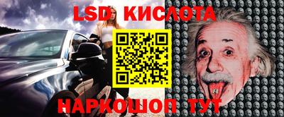 индика Гусь-Хрустальный