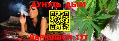 индика Гусь-Хрустальный