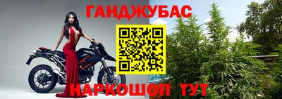 индика Гусь-Хрустальный