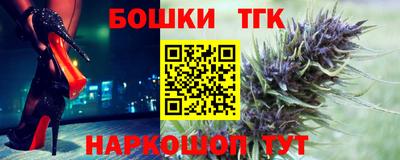 индика Гусь-Хрустальный