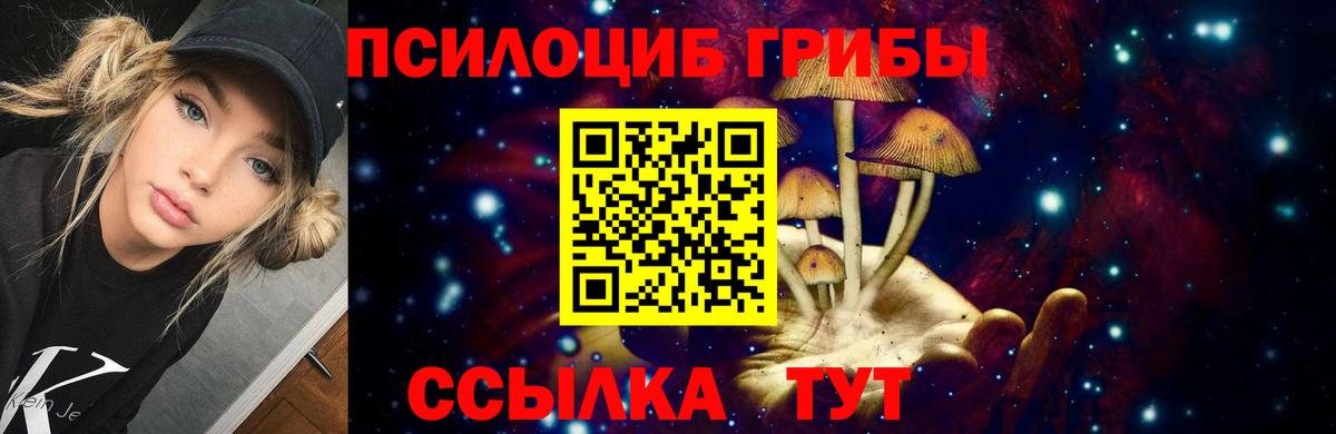 Псилоцибиновые грибы Psilocybe  Галлюциногенные грибы Cubensis  Вход с VPN  Нерюнгри 